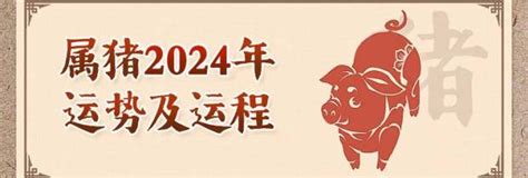 1995属猪2024年运程|属猪人2024年运势完整版 属猪人2024年每月运势完整版